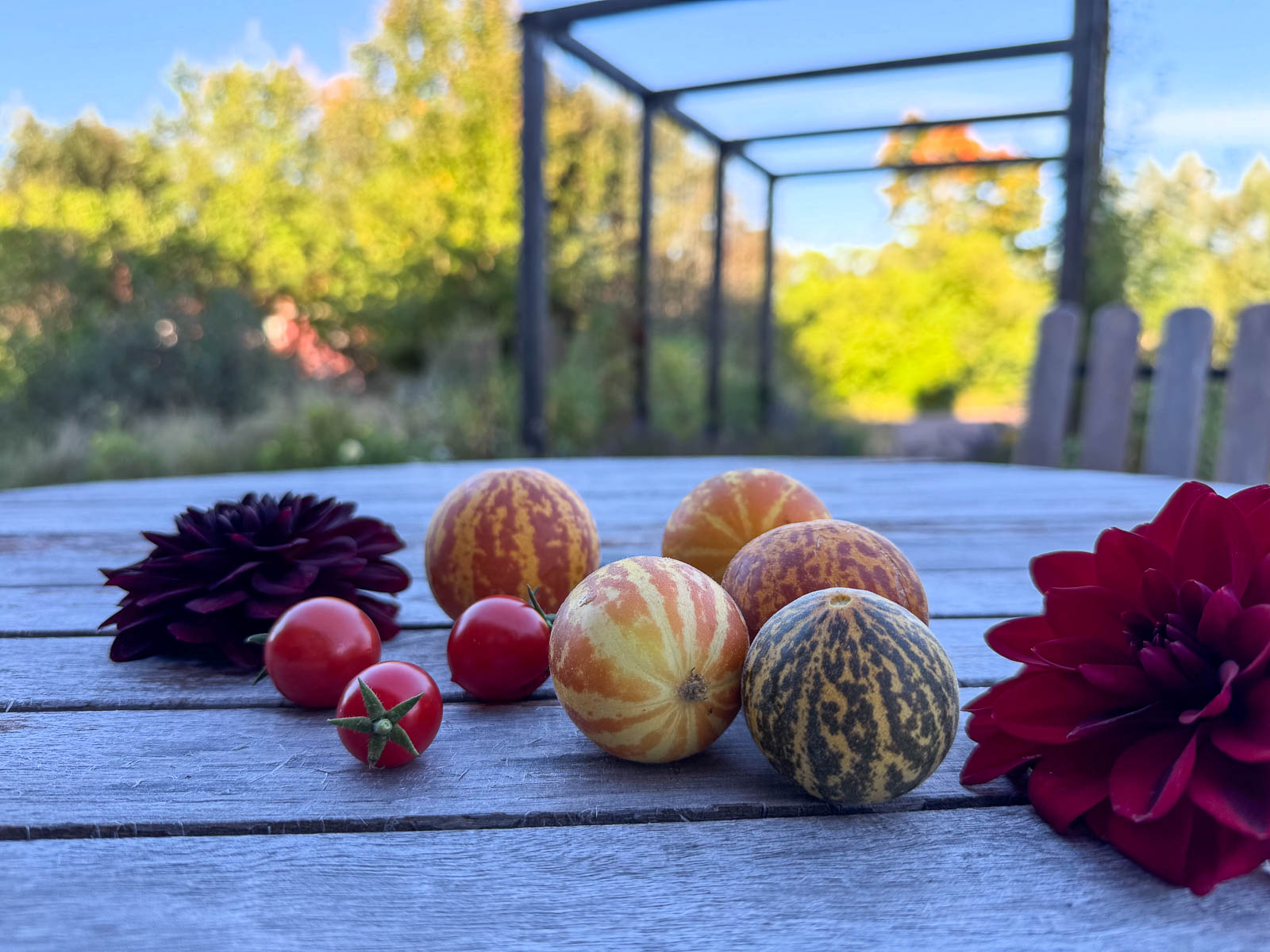 Fresh from the Garden